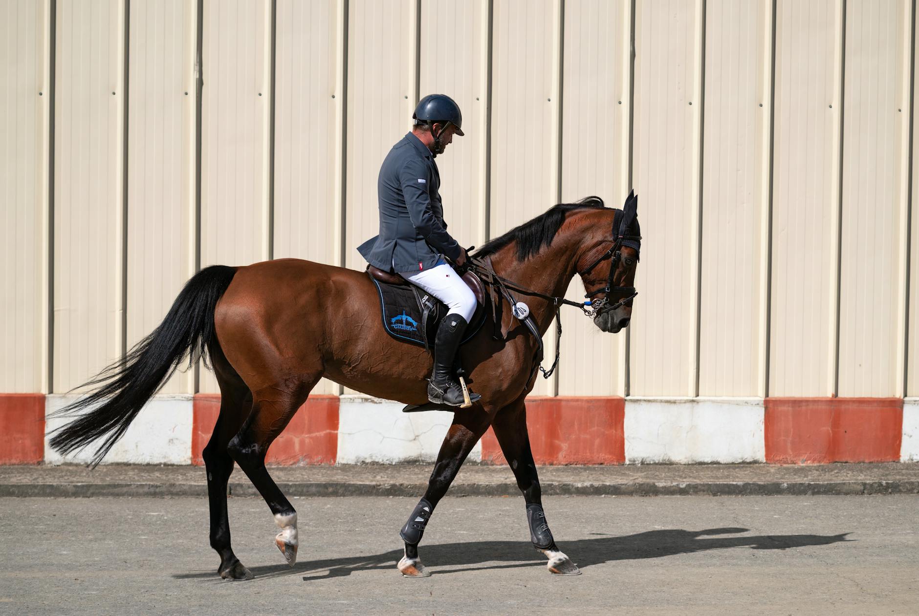 Doświadczony jeździec na brązowym koniu podczas treningu w terenie