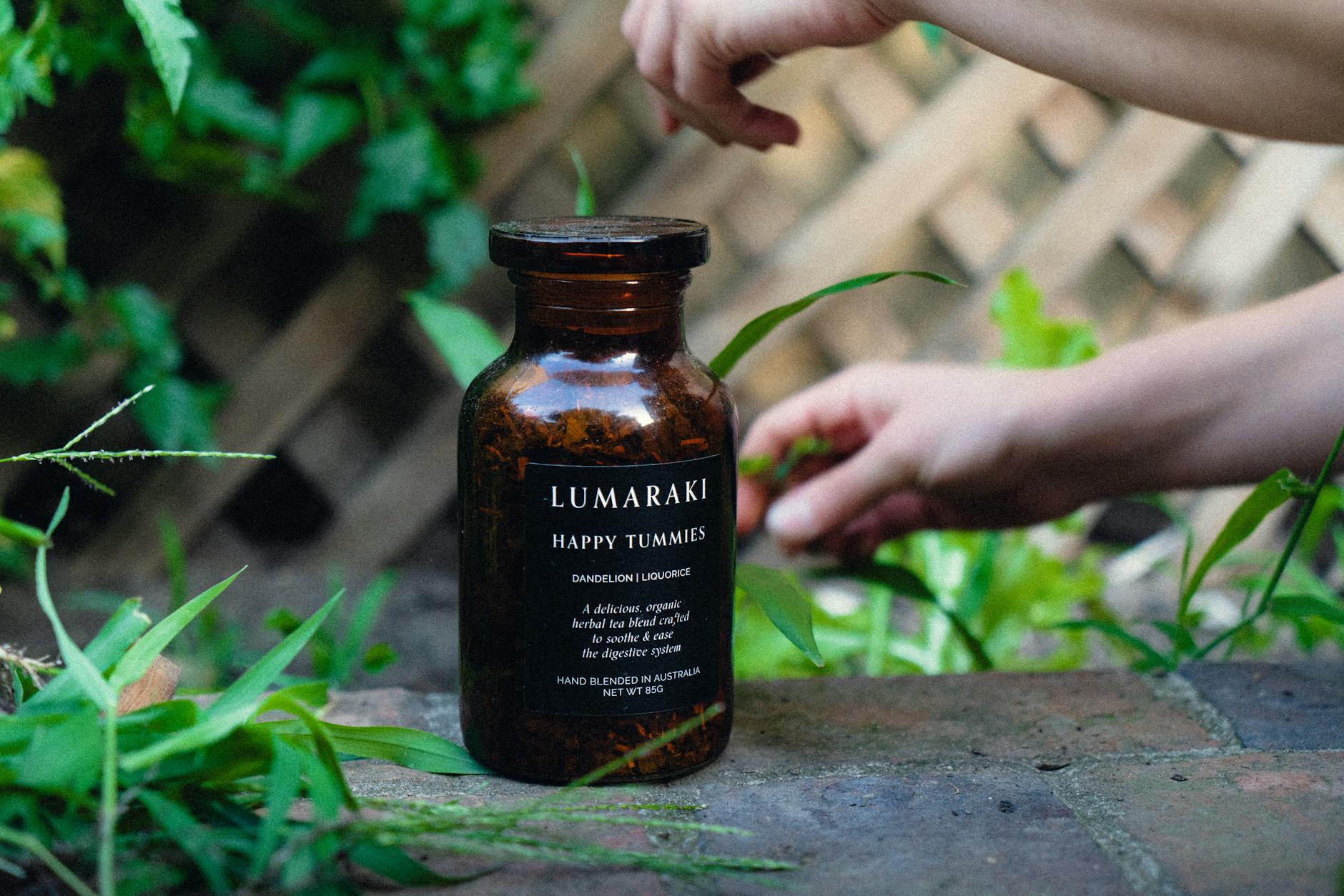 Słoik herbaty z mniszka i lukrecji oraz dłonie pielące grządki