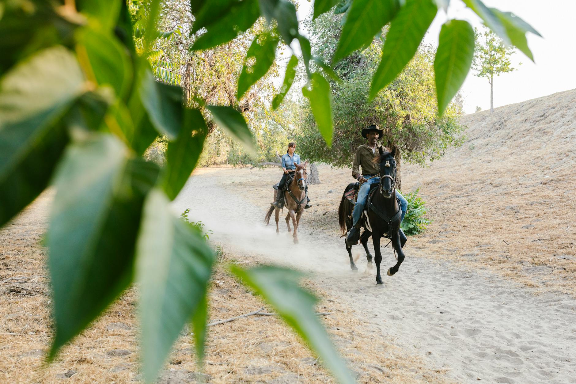 Jeźdźcy konni na leśnej drodze na podlaskiej wsi