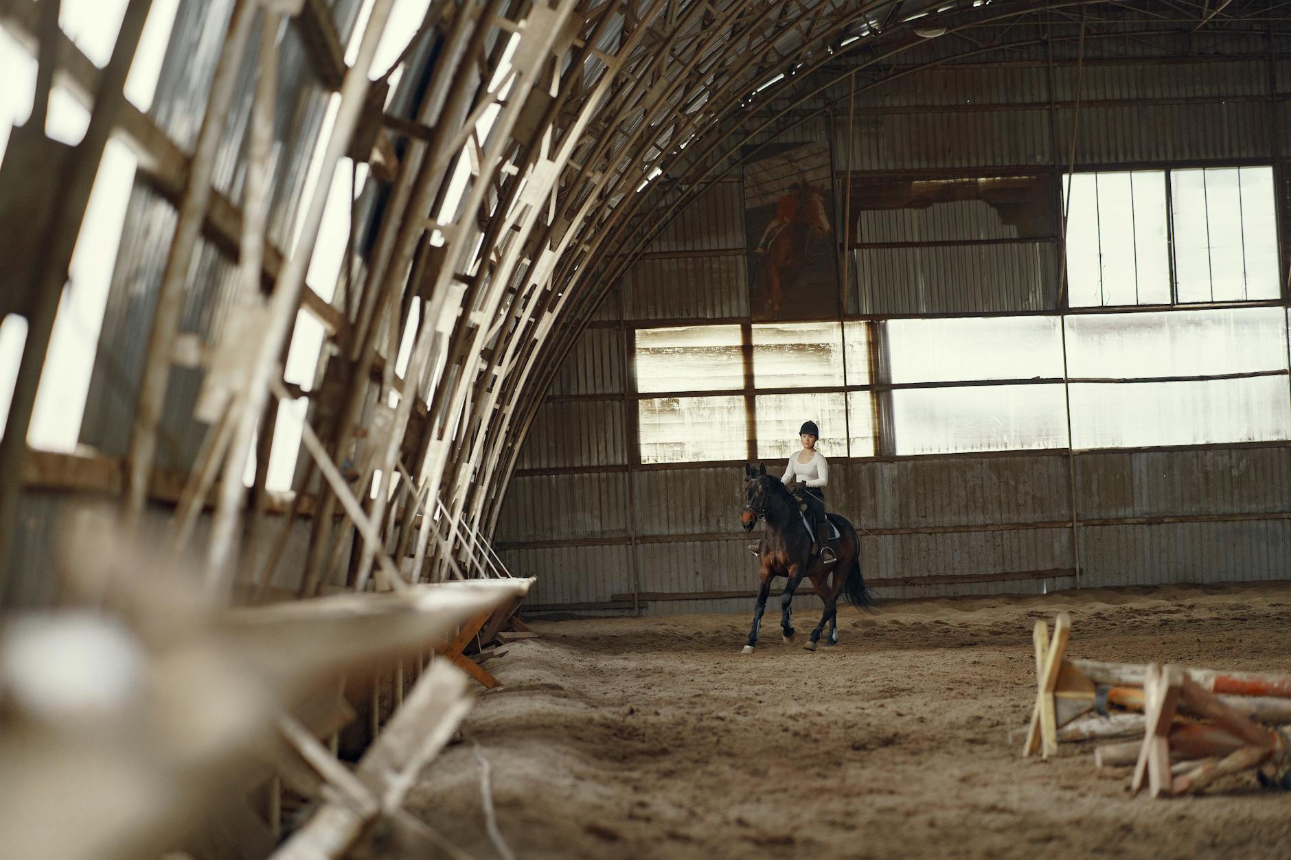 Kobieta trenuje jazdę konną w krytej, drewnianej hali jeździeckiej