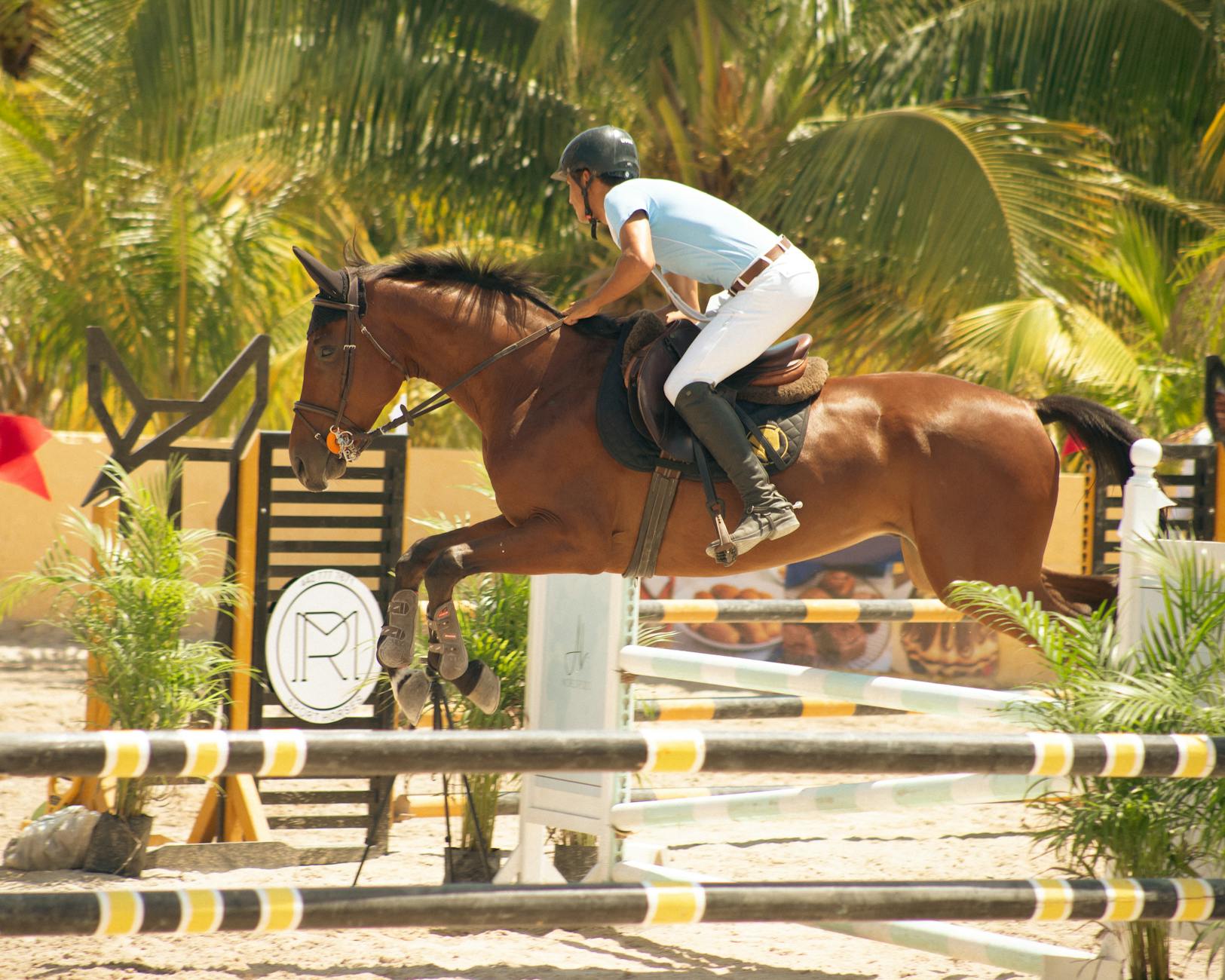 Koń i jeździec pokonują przeszkodę na zawodach w tropikalnym otoczeniu