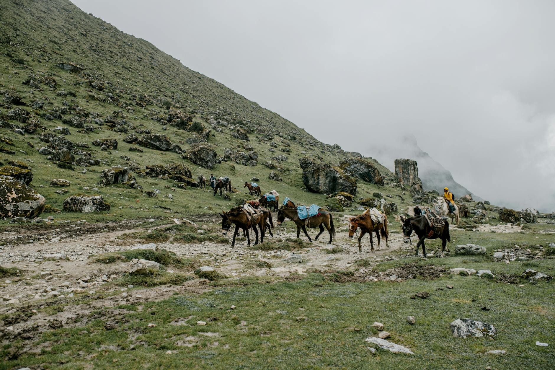 Jeździec na koniu wśród gór Peru pod pochmurnym niebem