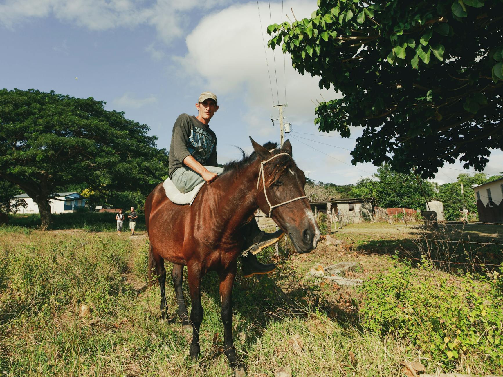 Jeździec w terenie na koniu na słonecznej podlaskiej wsi